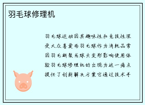 羽毛球修理机