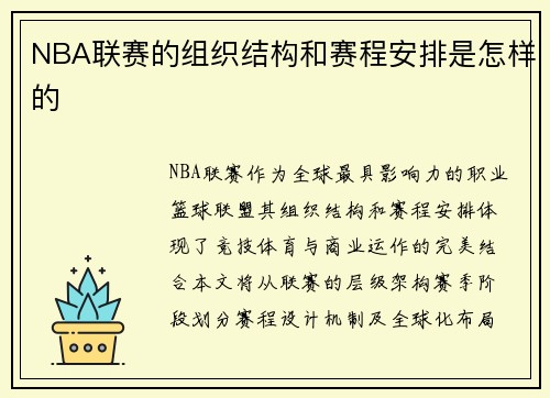 NBA联赛的组织结构和赛程安排是怎样的